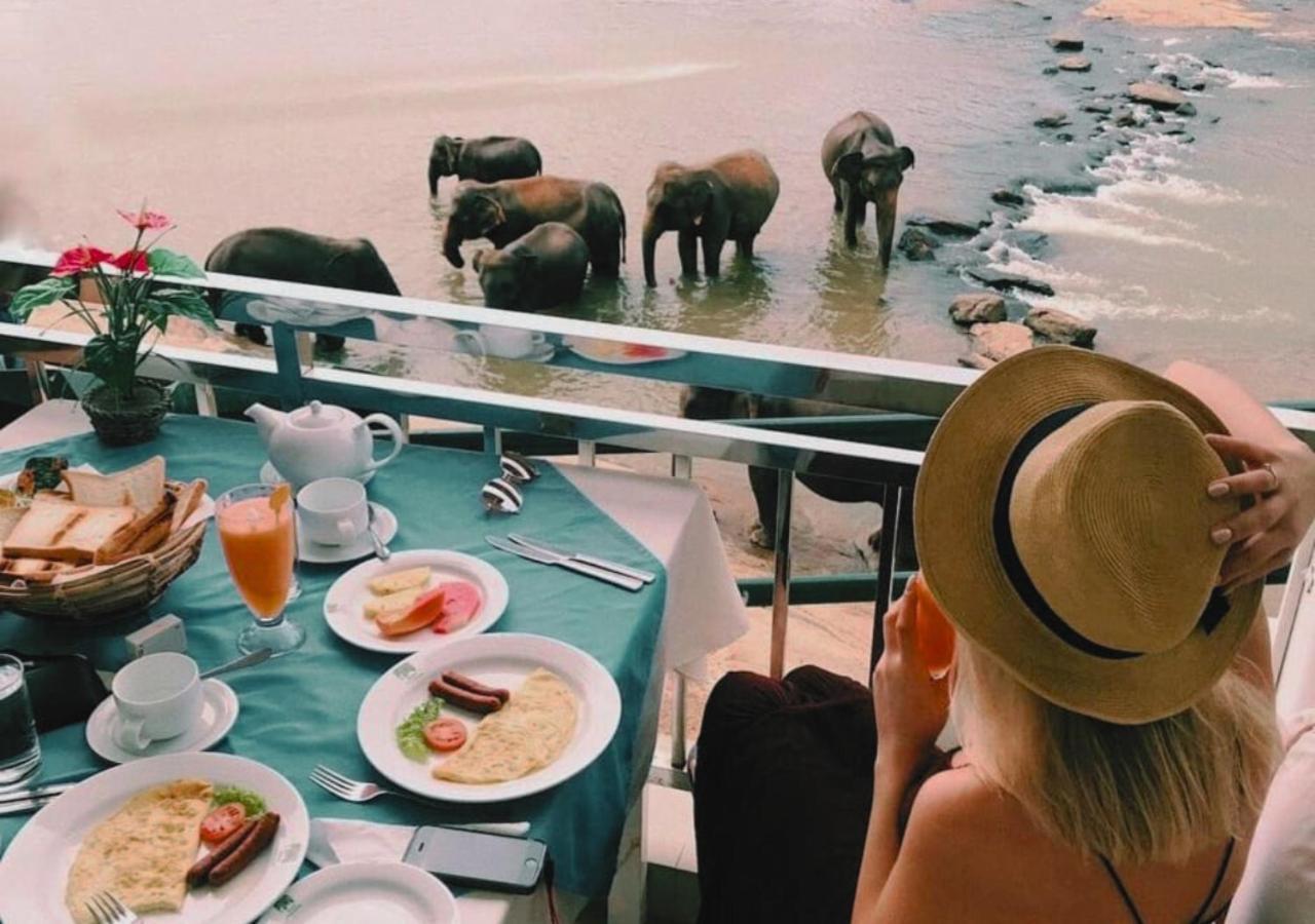 Hotel Elephant Park - New Deal! Half Off Airport Pickups Available Pinnawala  Esterno foto