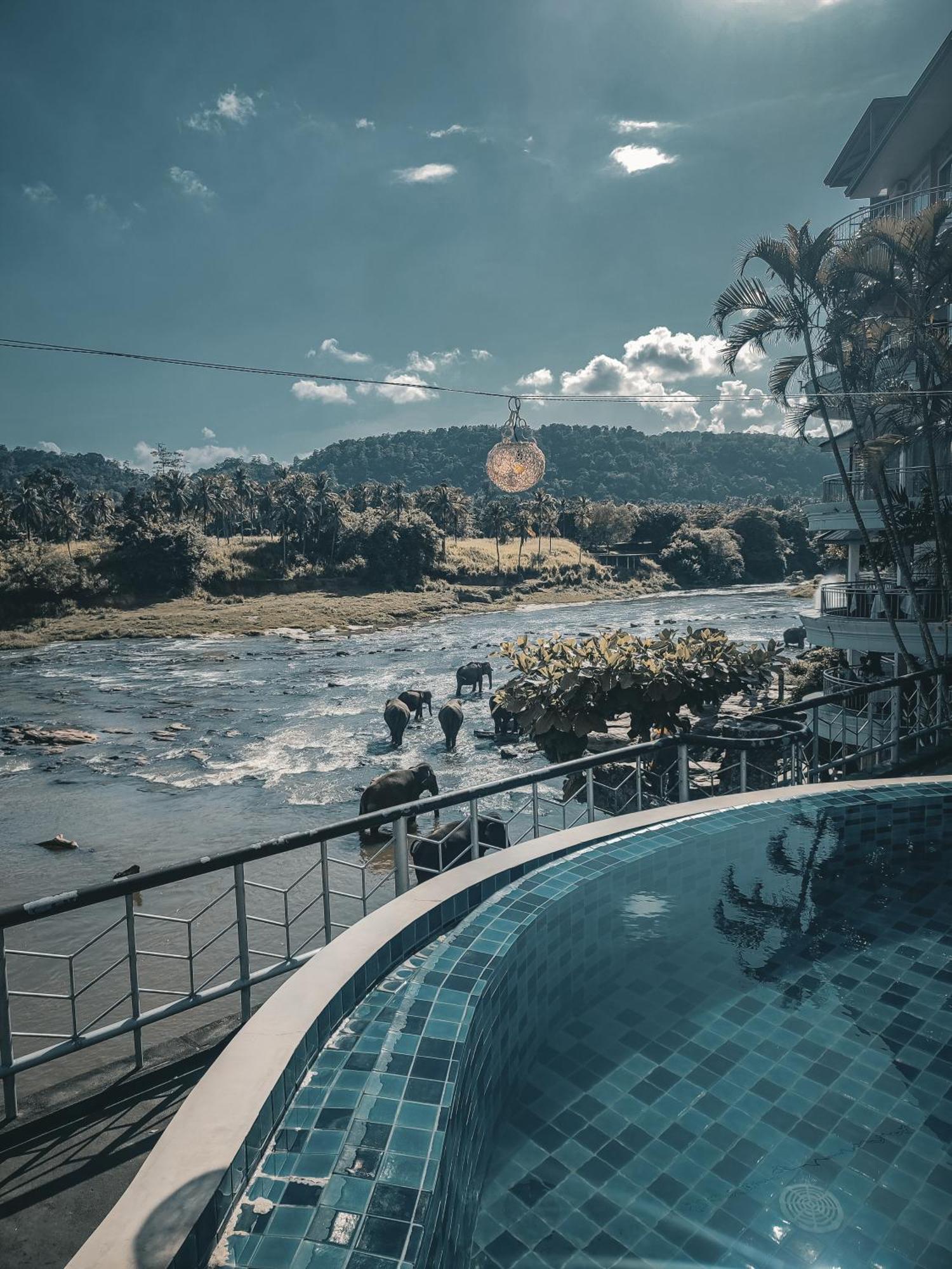 Hotel Elephant Park - New Deal! Half Off Airport Pickups Available Pinnawala  Esterno foto