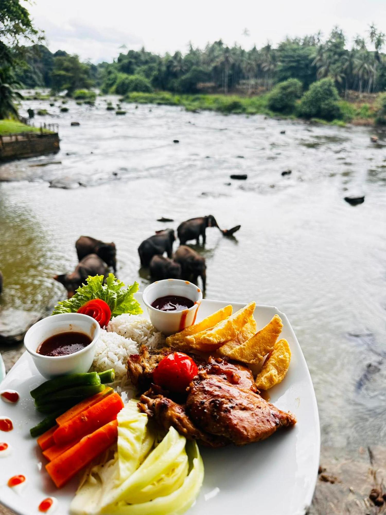 Hotel Elephant Park - New Deal! Half Off Airport Pickups Available Pinnawala  Esterno foto