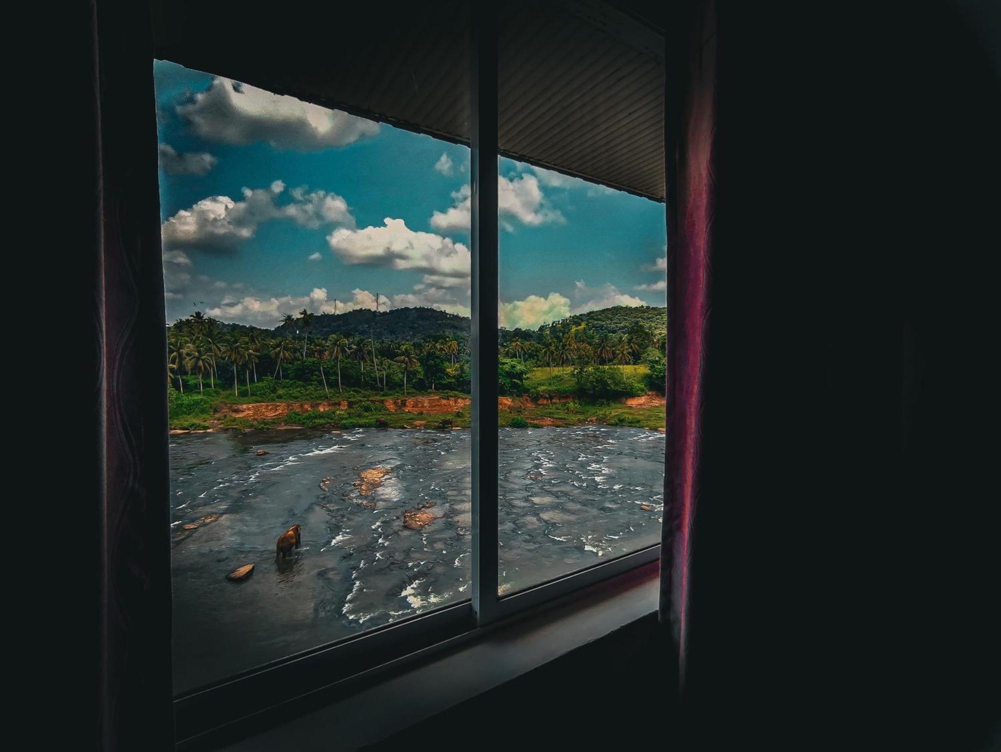Hotel Elephant Park - New Deal! Half Off Airport Pickups Available Pinnawala  Esterno foto