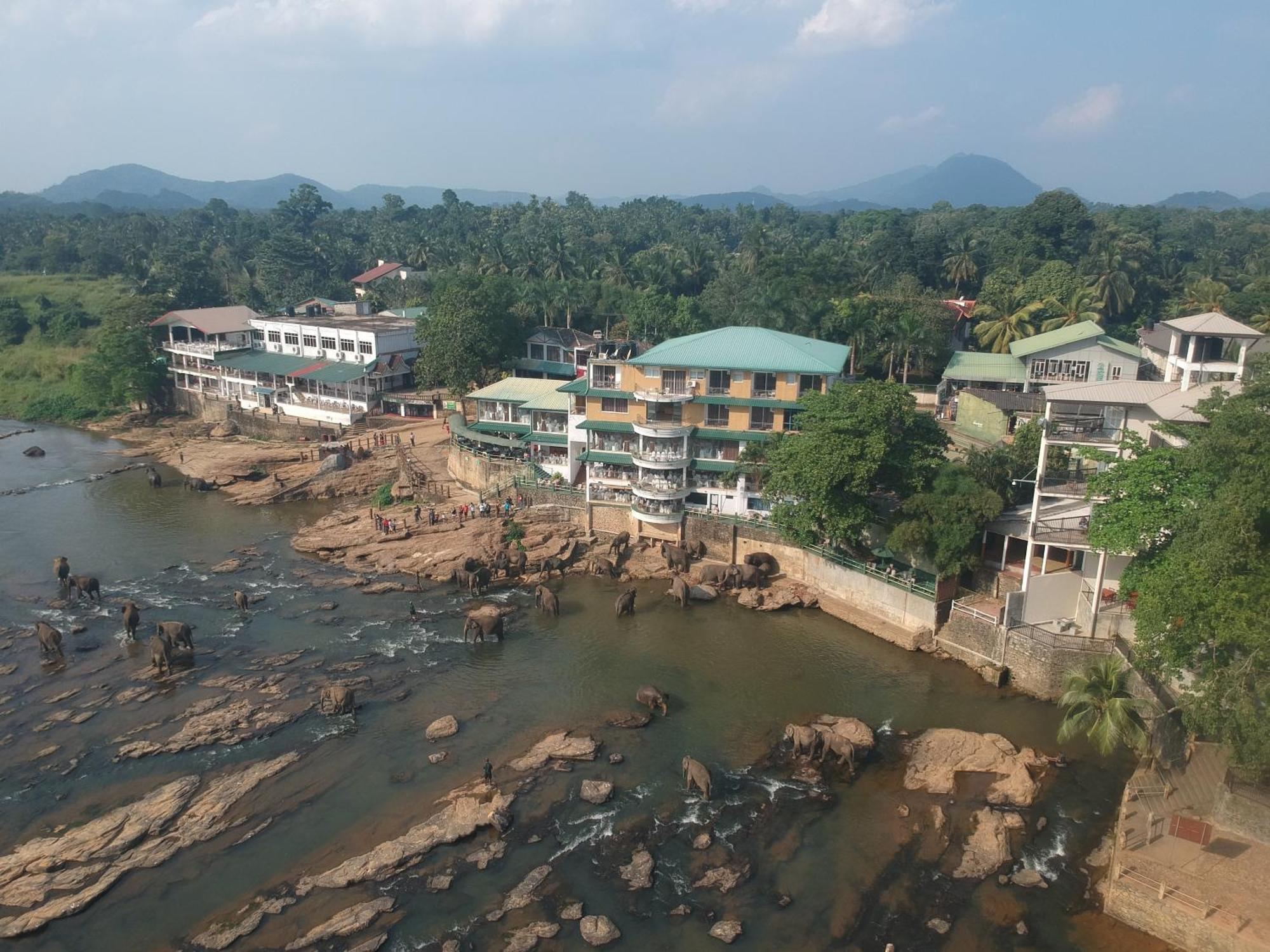 Hotel Elephant Park - New Deal! Half Off Airport Pickups Available Pinnawala  Esterno foto