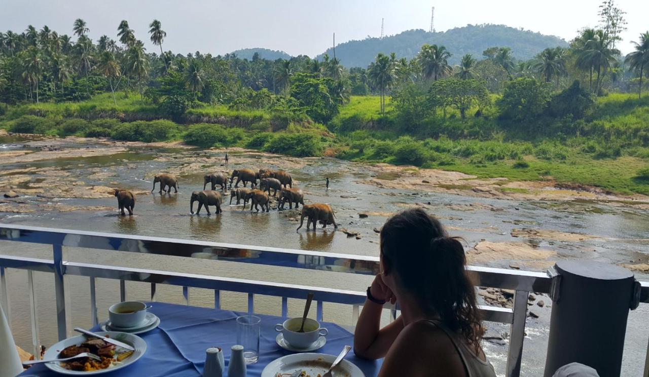 Hotel Elephant Park "Grand Royal Pinnalanda" Pinnawala  Esterno foto