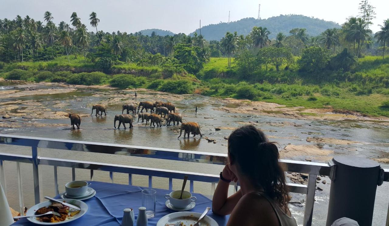 Hotel Elephant Park - New Deal! Half Off Airport Pickups Available Pinnawala  Esterno foto