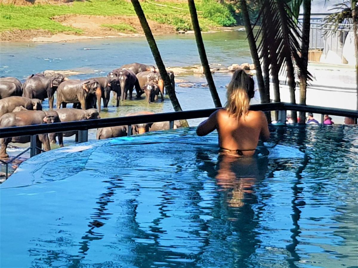 Hotel Elephant Park - New Deal! Half Off Airport Pickups Available Pinnawala  Esterno foto
